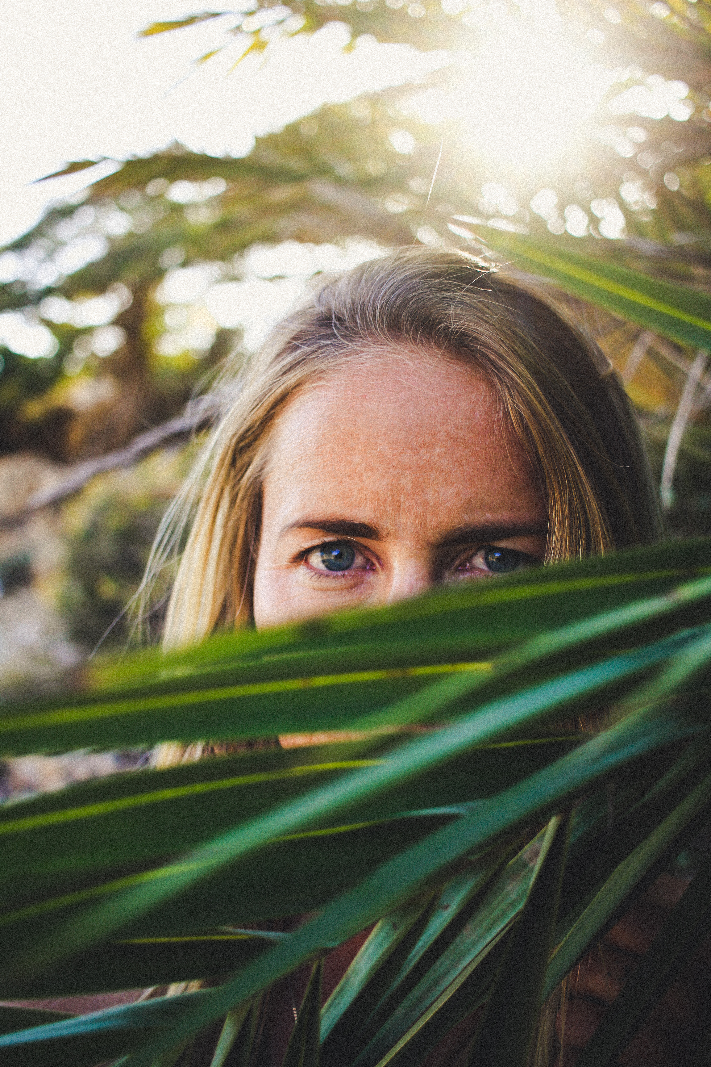 Fotografie von Franky Siegler